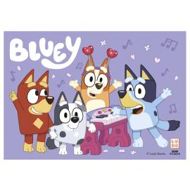 Kakkukuva Bluey A5 17,5 g