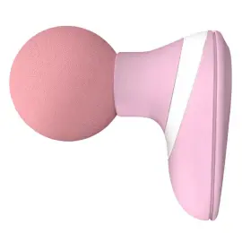 Pieni Lihashuoltovasara Pinkki