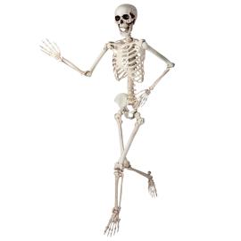 Taivutettava Luuranko Rekvisiitta 150 cm