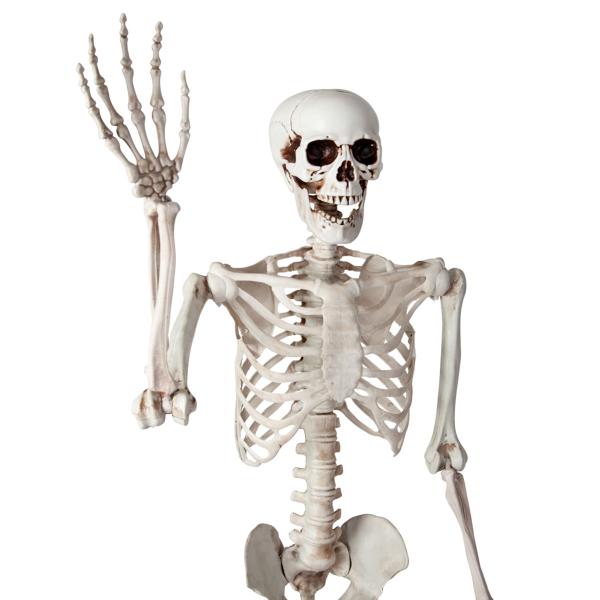 Taivutettava Luuranko Rekvisiitta 150 cm