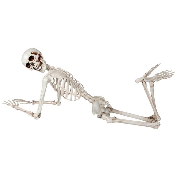 Taivutettava Luuranko Rekvisiitta 150 cm