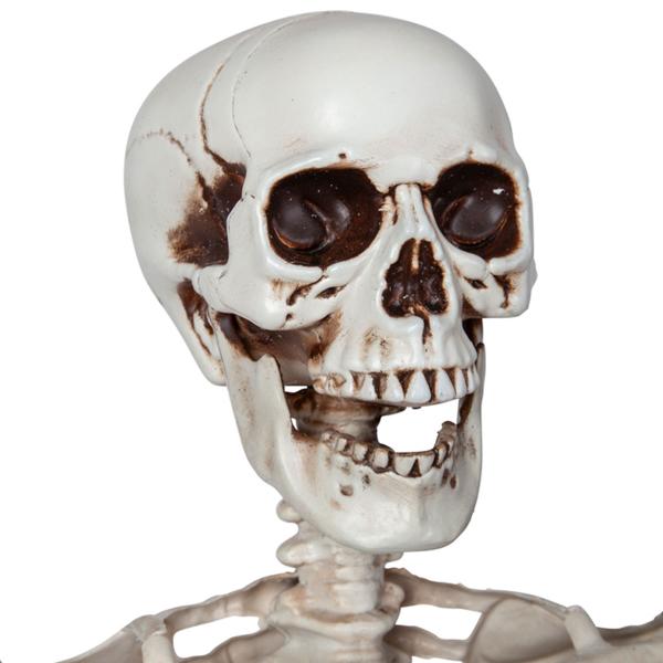 Taivutettava Luuranko Rekvisiitta 150 cm