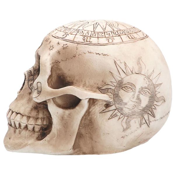 Koriste Pääkallo Astronomia