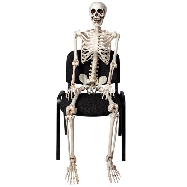 Taivutettava Luuranko Rekvisiitta 150 cm