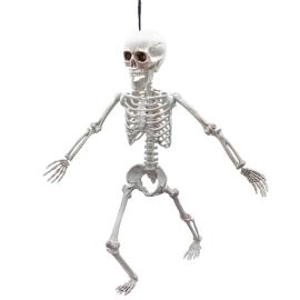 Riippuva Taivutettava Luuranko Rekvisiitta 60 cm