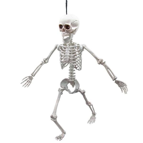 Riippuva Taivutettava Luuranko Rekvisiitta 60 cm