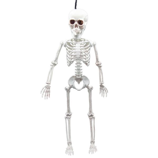 Riippuva Taivutettava Luuranko Rekvisiitta 60 cm