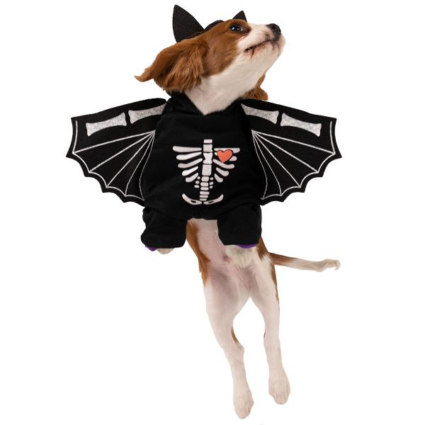 Spooky Bat Koiran Asu