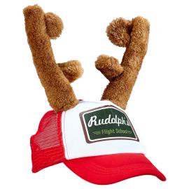 Rudolph's Flight School Lippalakki