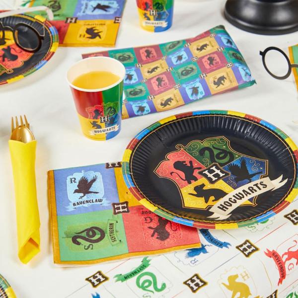 Juhlapaketti Harry Potter Oppilaskotia 72-kpl
