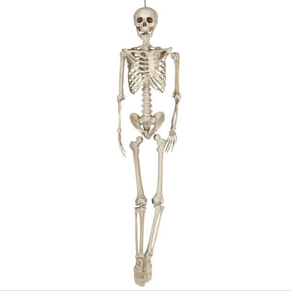 Riippuva Luuranko 160 cm