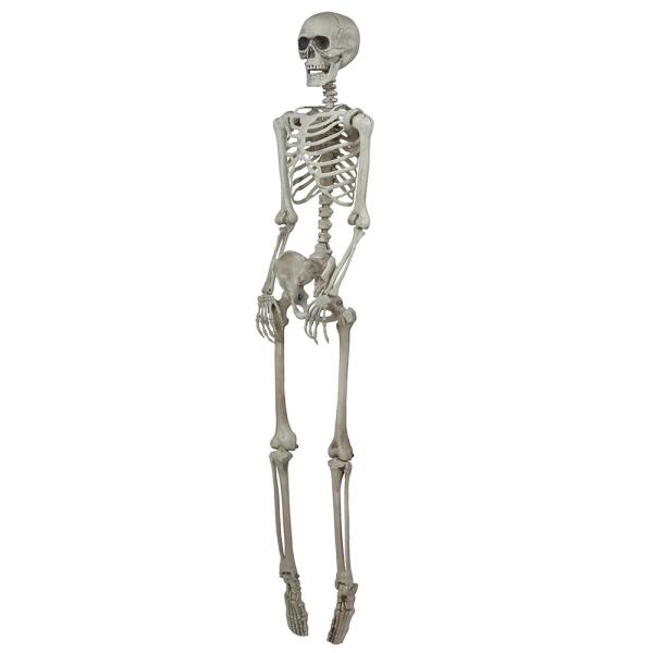 Riippuva Luuranko 160 cm
