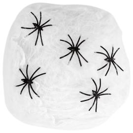 Hämähäkinseitti Koriste Hämähäkeillä