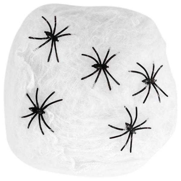 Hämähäkinseitti Koriste Hämähäkeillä