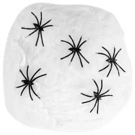 Hämähäkinseitti Koriste Hämähäkeillä