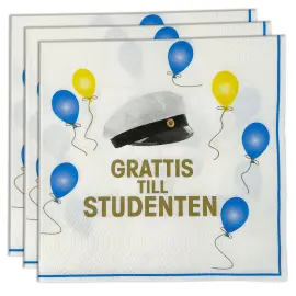 Kahviservetit Grattis Till Studenten 25cm 16 kpl