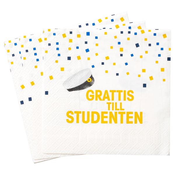 Grattis Till Studenten Paperilautasliinat