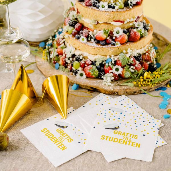 Grattis Till Studenten Paperilautasliinat