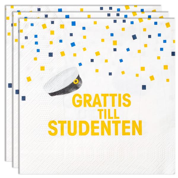 Grattis Till Studenten Paperilautasliinat