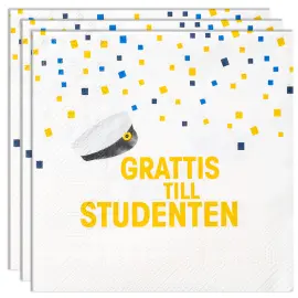 Grattis Till Studenten Paperilautasliinat