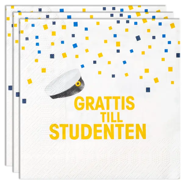 Grattis Till Studenten Paperilautasliinat