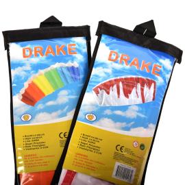 Kite Leija
