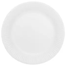 Pahvilautaset Valkoinen 23cm 16 kpl