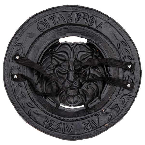 Roomalainen Miekka ja Kilpi Lapsille