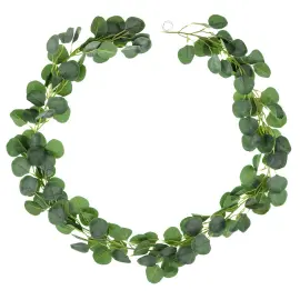 Eukalyptuksenlehti Köynnös