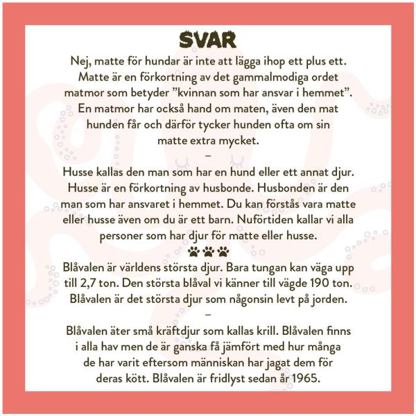 Spela Mera: Allt Om Djur Tietopeli