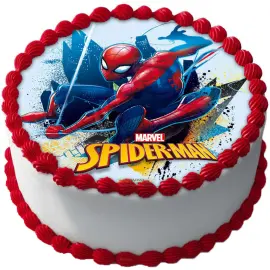 Spiderman Kakkukuva Web B