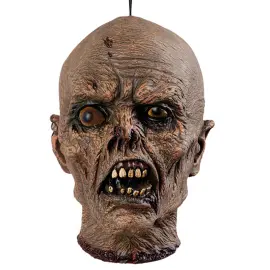 Irti Leikattu Zombin Pää