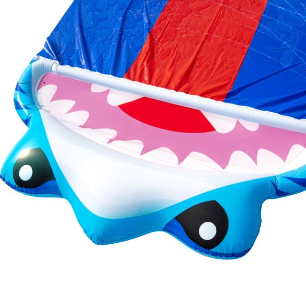 Splashy Shark Vesiliukurata