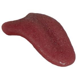 Lateksi Kieli