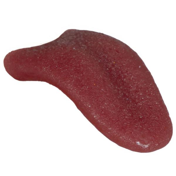 Lateksi Kieli