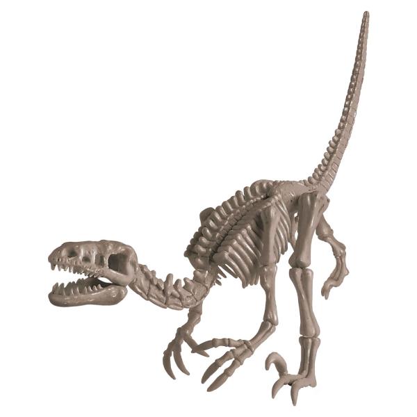 Dig a Dinosaur Skeleton Kaivaussetti Velociraptor