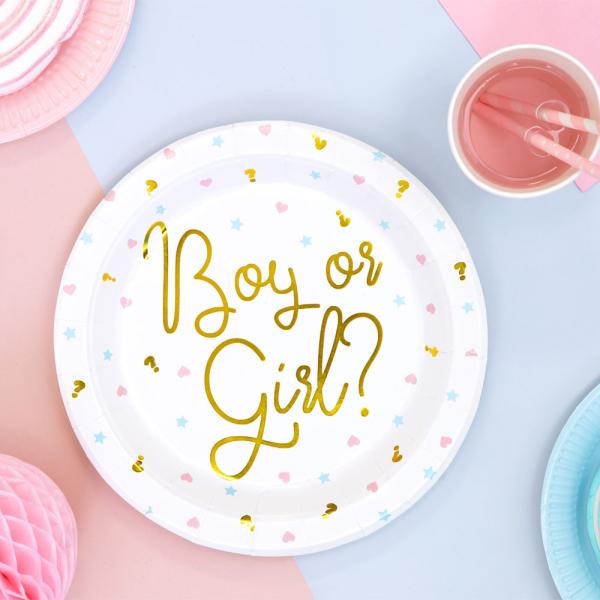 Baby Shower Boy or Girl Pahvilautaset