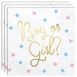 Baby Shower Boy or Girl Lautasliinat