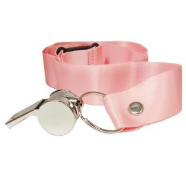 Hopeainen Metallipilli Vaaleanpunaisella Nauhalla