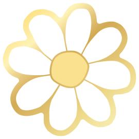 Päivänkakkara Pahvilautaset