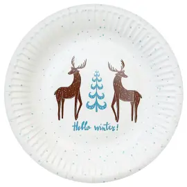 Hello Winter Paperilautaset 6 kpl