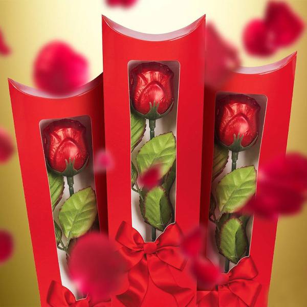 Punainen Suklaaruusu