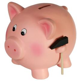 S&auml;&auml;st&ouml;possu Vasaralla 22 x 17,5 cm