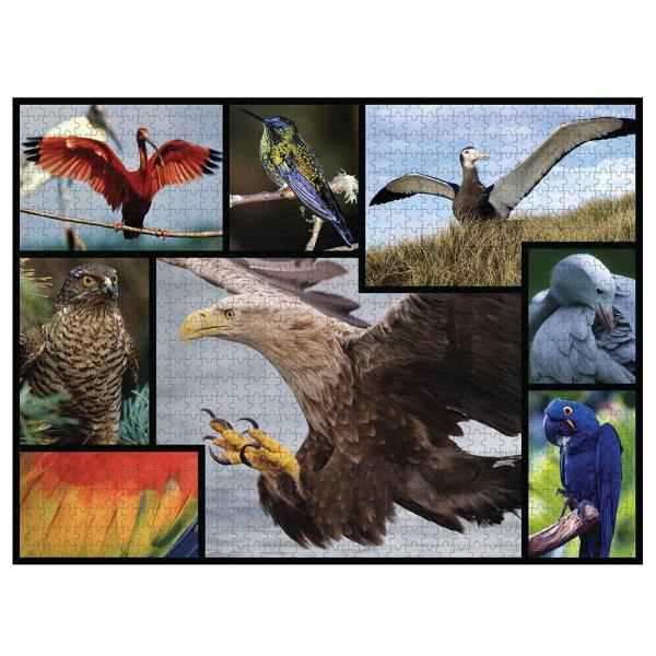 WWF Linnut Palapeli 1000p