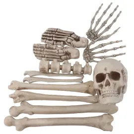 Luurangon osat Koristesetti