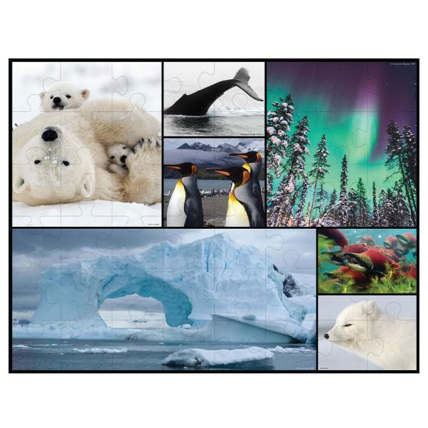WWF Polaris Palapeli 48p