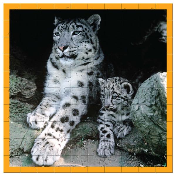 WWF Lumileopardit Palapeli 100p