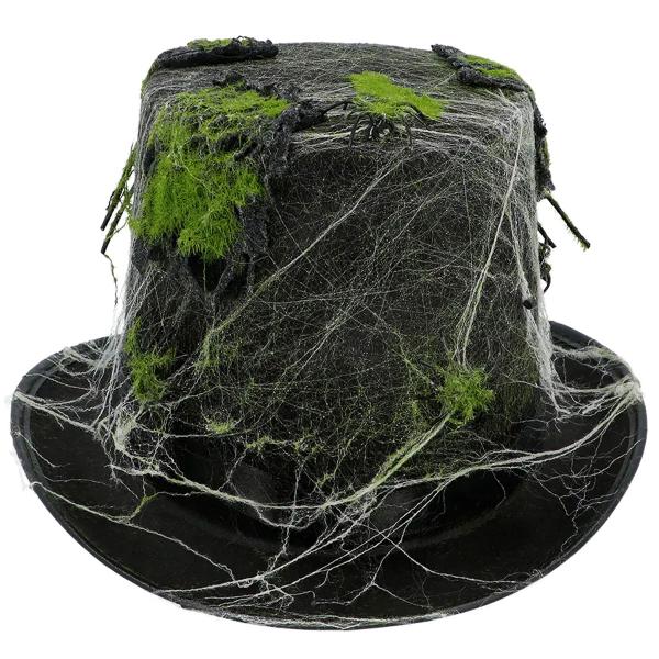 Silinterihattu Hämähäkeillä, Seiteillä ja Sammalella