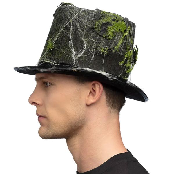 Silinterihattu Hämähäkeillä, Seiteillä ja Sammalella