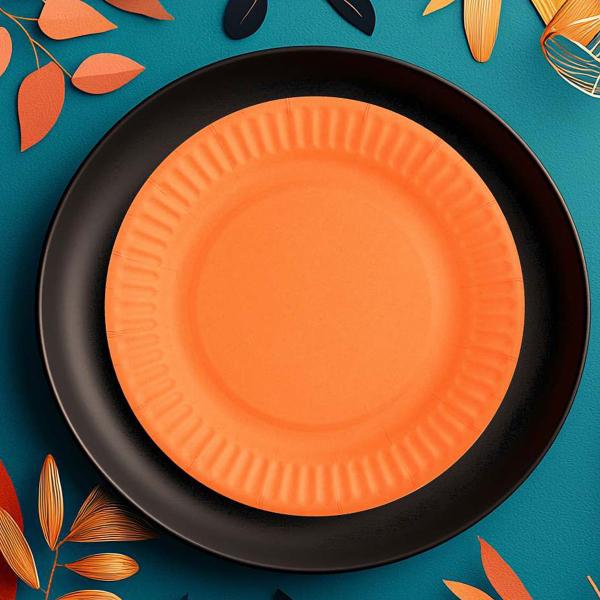 Oranssit Paperilautaset